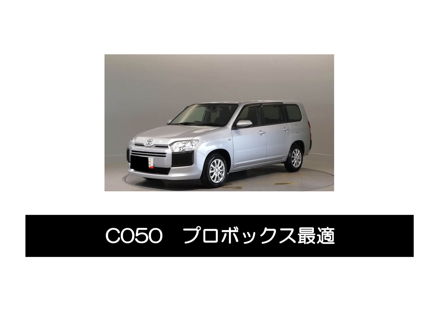 instaGO ラダーC(商用車用)C050